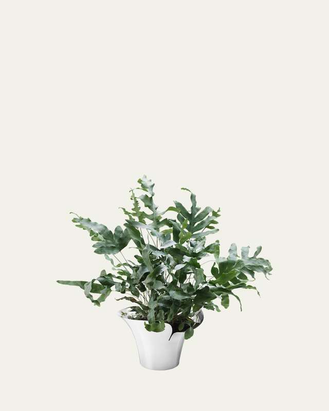Bloom Botanica Medium Stainless Steel Flower Pot